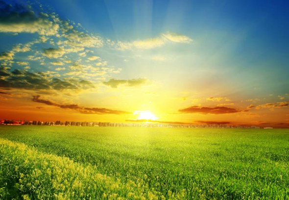 万博游戏app平台