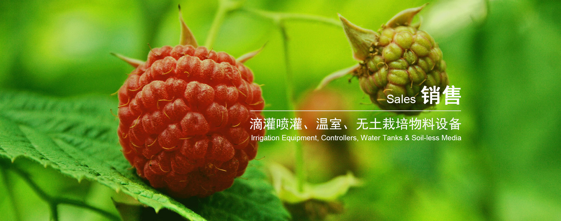 万博游戏app平台