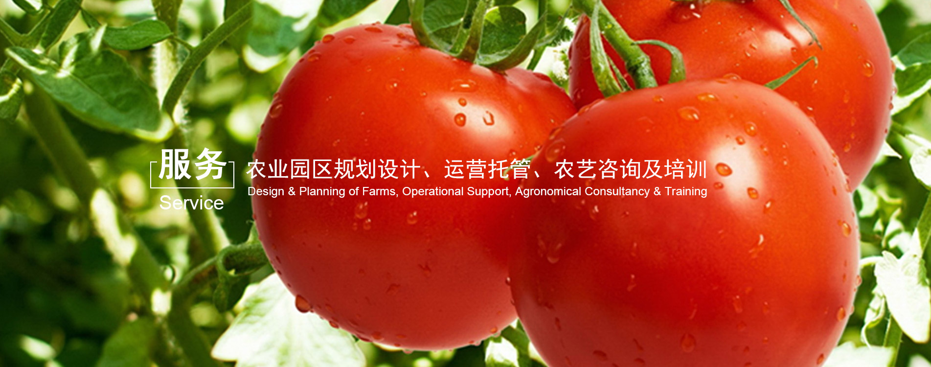 万博游戏app平台