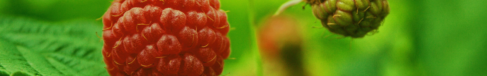 万博游戏app平台