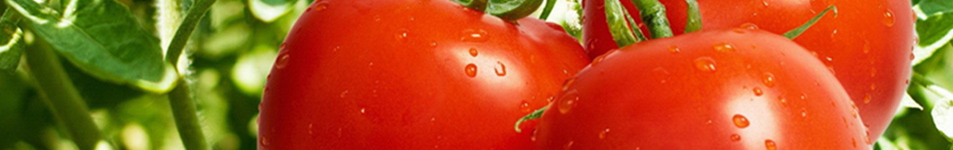 万博游戏app平台