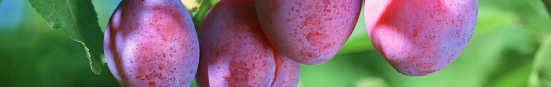 万博游戏app平台