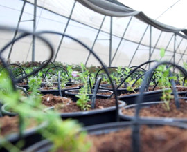 万博游戏app平台